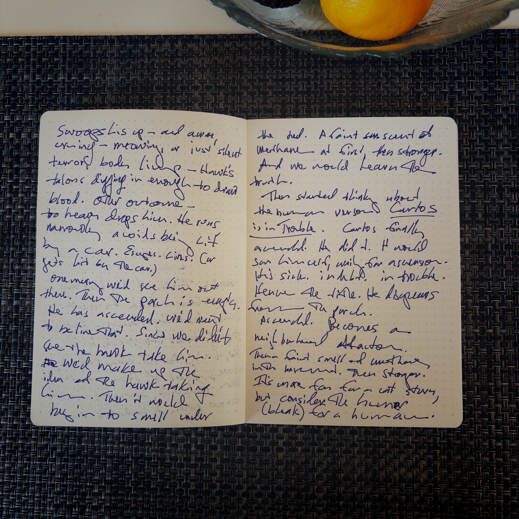 An open notebook with handwritten text is placed on a woven surface next to a bowl containing lemons and other fruit.